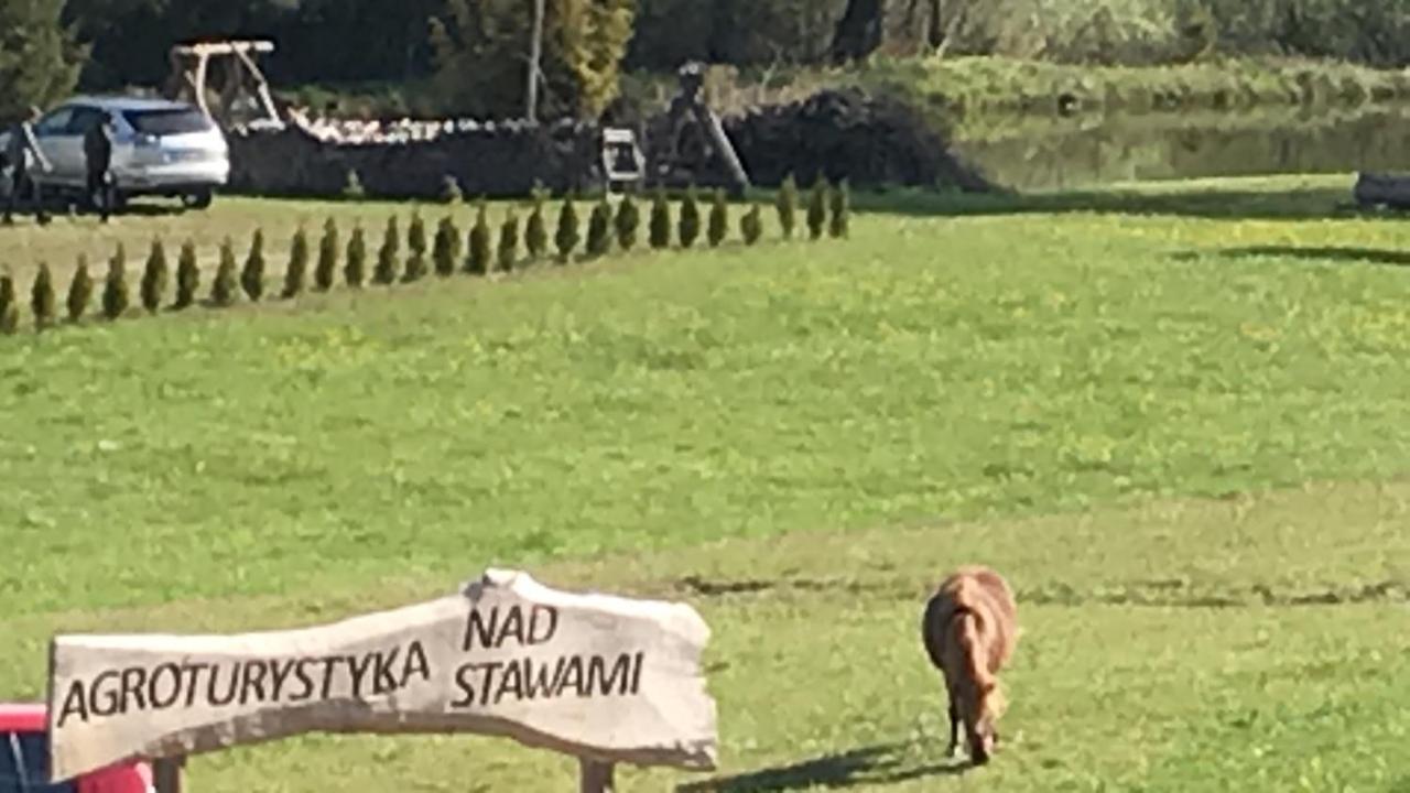 Agroturystyka Nad Stawami Szemud Buitenkant foto