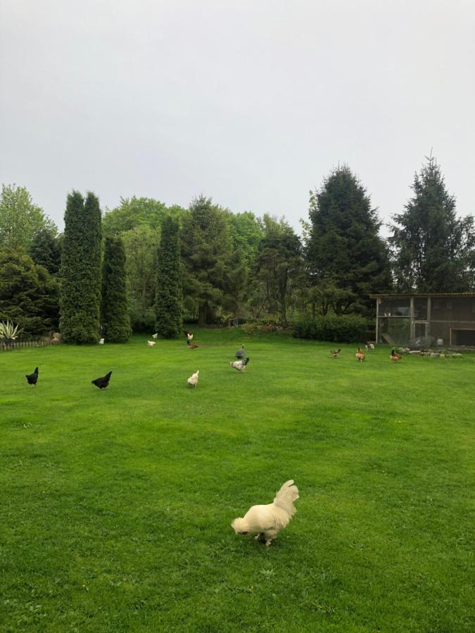 Agroturystyka Nad Stawami Szemud Buitenkant foto