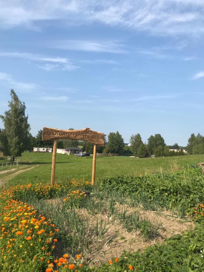 Agroturystyka Nad Stawami Szemud Buitenkant foto